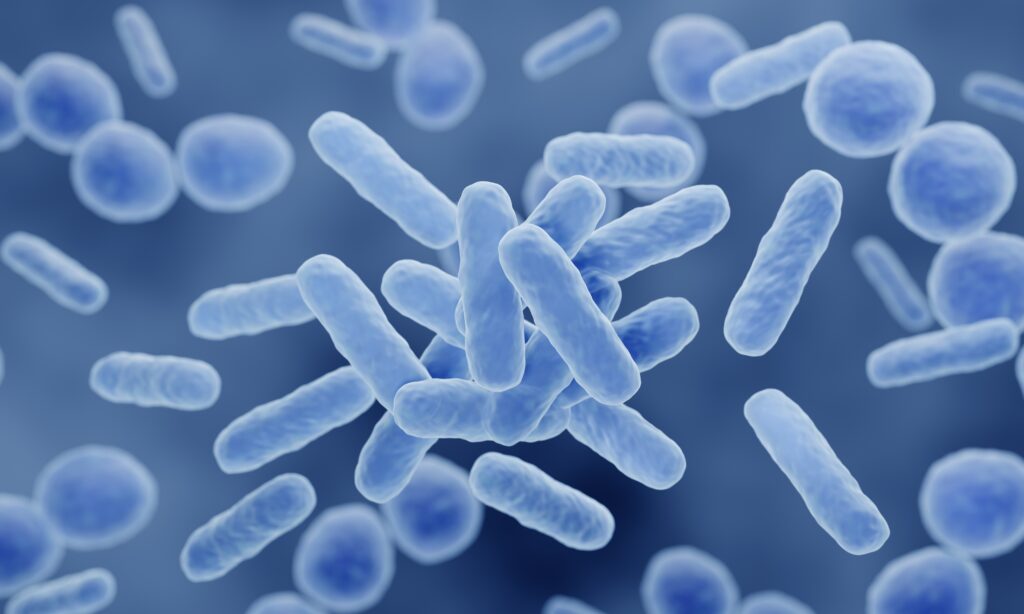 Microbiome peau : rôle et préservation des peaux sèches atopiques